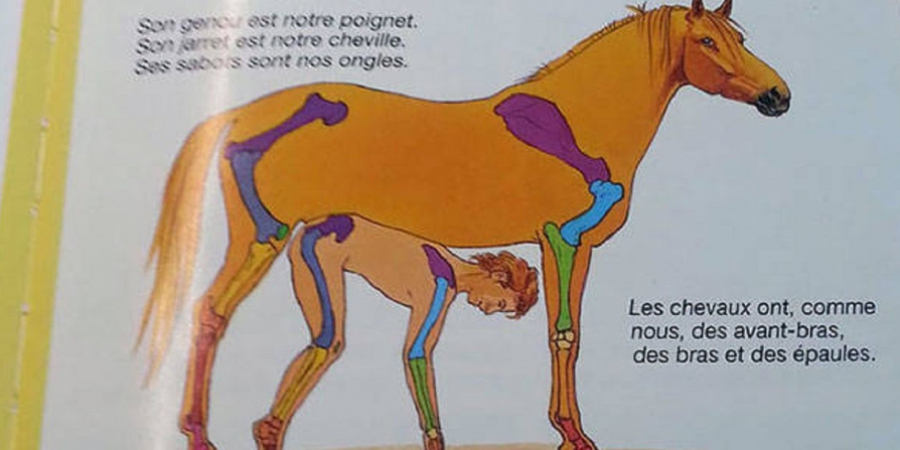 10 insanely inapproprate kids books