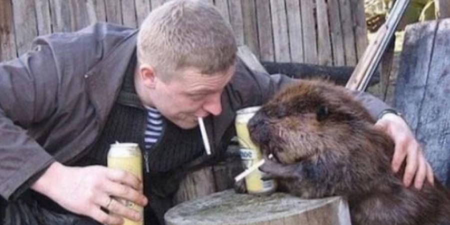 Those crazy Russians are at it again!