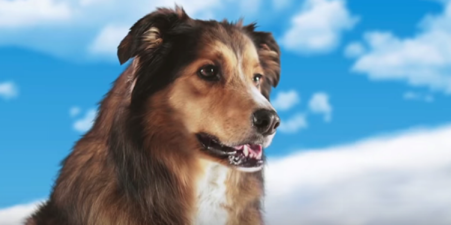 Best Friend From Heaven looks all set to be the worst film of 2018