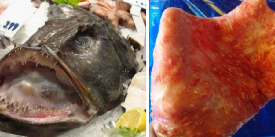 Dudes dong gets infected after he uses stomach of an angler fish to masturbate with