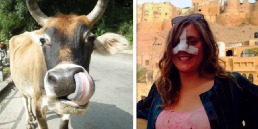 Backpacker attacked by cow after she mocked it by singing Black Eyed Peas 'My Humps'