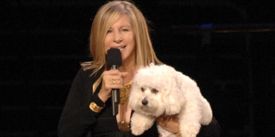 Barbra Streisand clones dogs