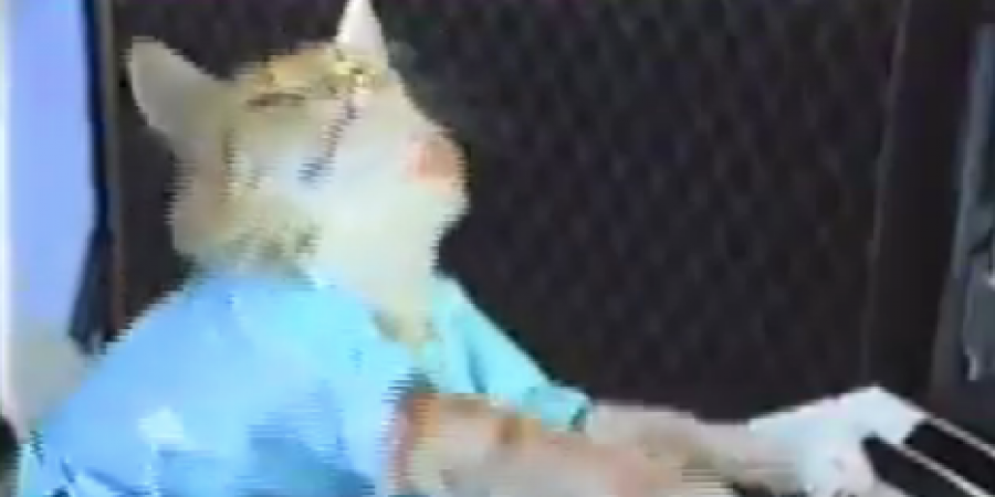 Keyboard Cat is dead