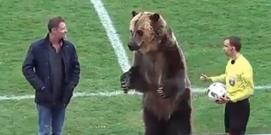 The match ball for this Russian league game was delivered by a bear!