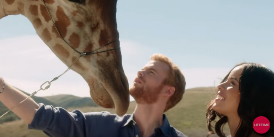 This TV movie about Prince Harry and Meghan Markle looks cheesy AF!