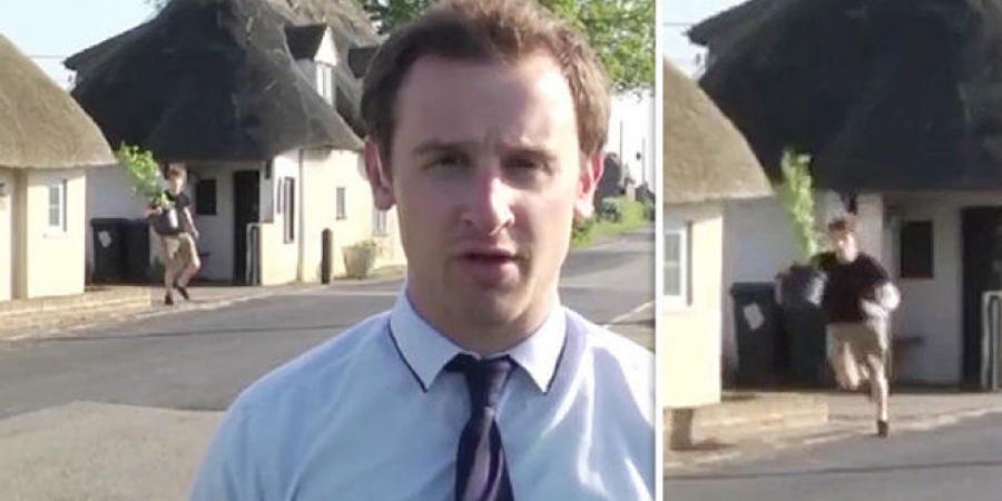 Dude caught by news team running off with plant outside cannabis factory