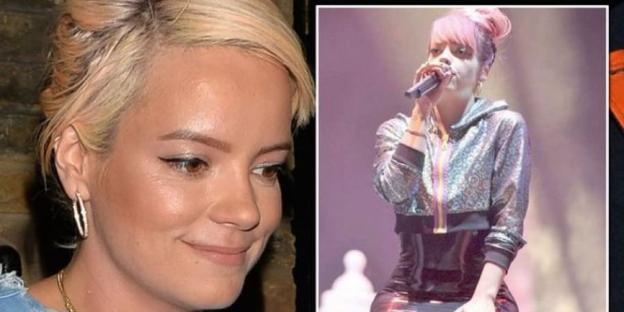 Lily Allen shares picture of her vagina to promote new album