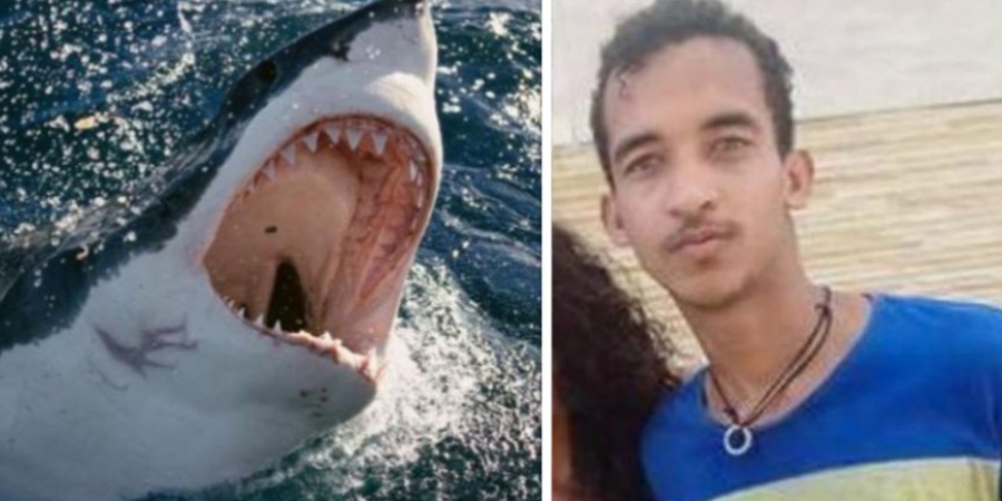 Guy in critical conditon after his penis was bitten off by a shark