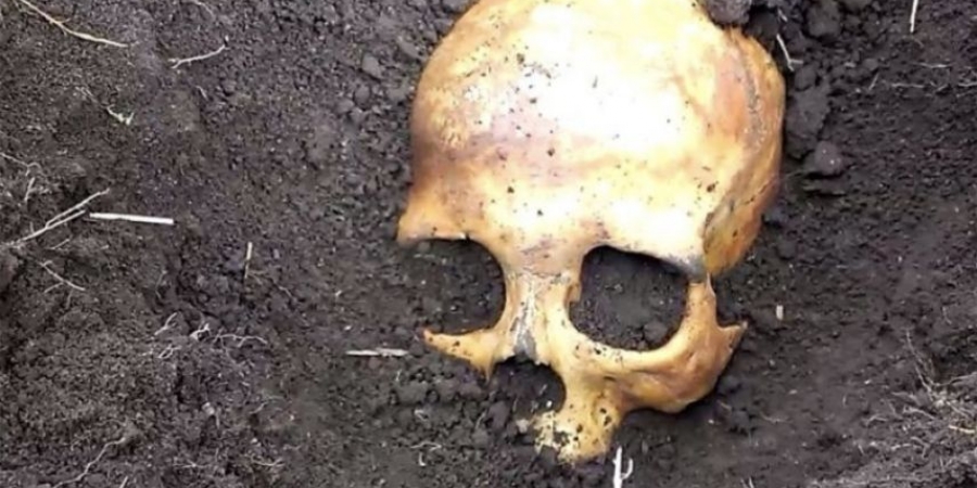 Dude finds out wife murdered previous husband after discovering skull in the garden