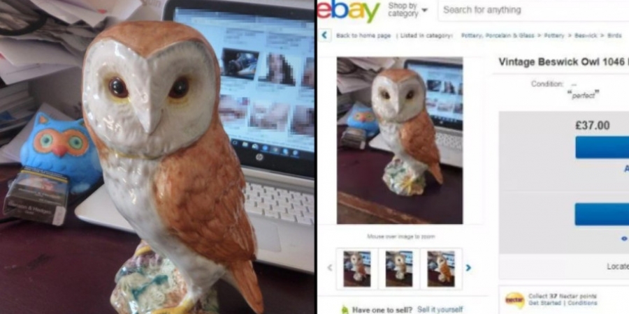 Ebay seller accidentally shows porn site in the background of his ad