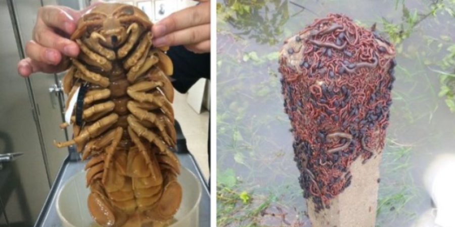 Nature is scary as f**k!