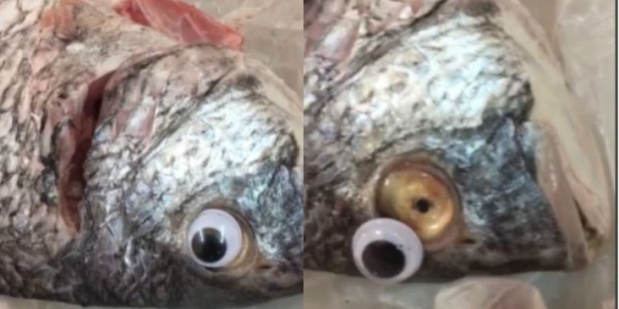 Shop caught sticking googly eyes to fish to make them look fresh