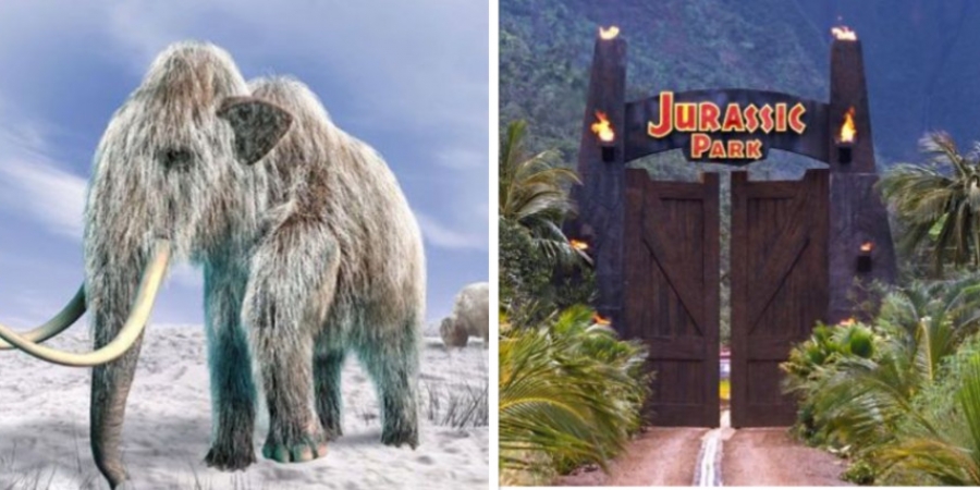 Russia is opening a 'Jurassic Park style' research lab to resurrect the woolly mammoth