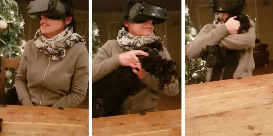 Mum grabs wrong end of the dog whilst using VR headset