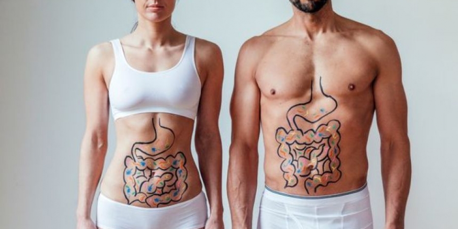 Poo donors wanted as demand for faecal matter transplants skyrocket