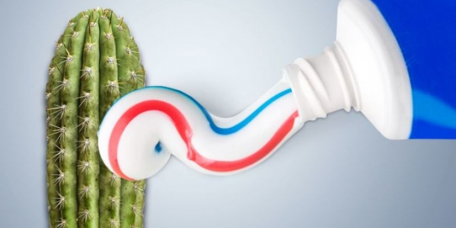 Men are being warned not to rub toothpaste on their dicks
