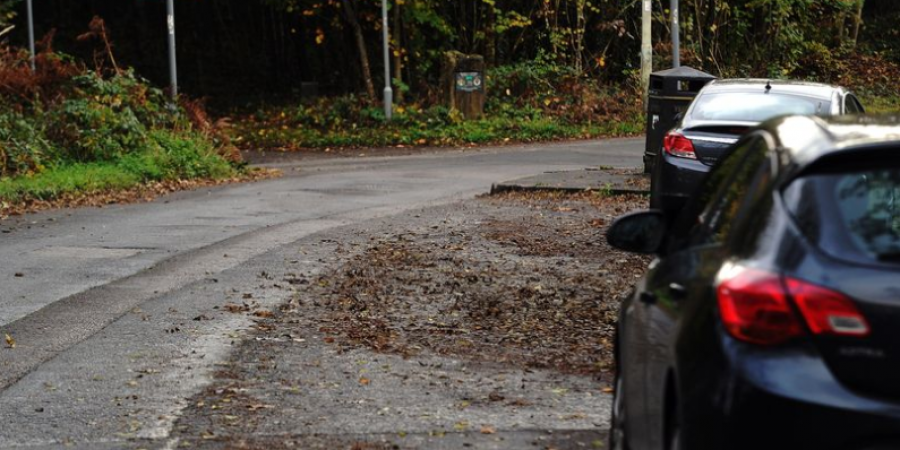 Chesham Dogging Club cancels all X-Rated events over fears of Coronavirus