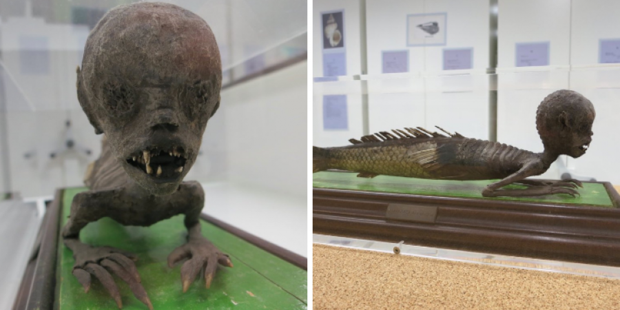 Museums around the world share pics of their creepiest exhibits
